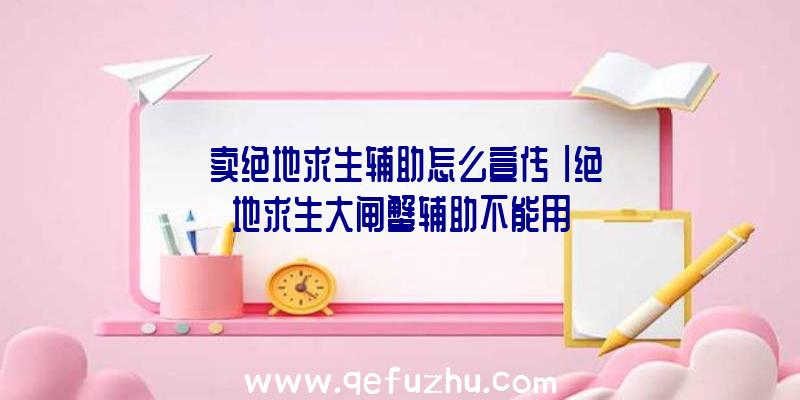 「卖绝地求生辅助怎么宣传」|绝地求生大闸蟹辅助不能用